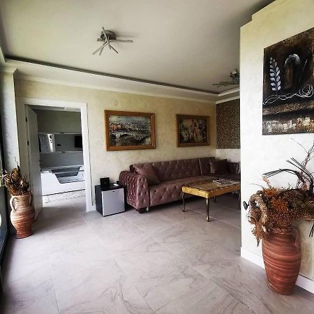 Lux Vila Aleksandar Sremska Kamenica エクステリア 写真