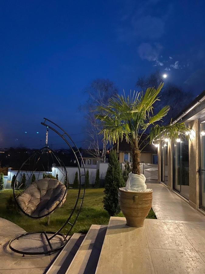 Lux Vila Aleksandar Sremska Kamenica エクステリア 写真