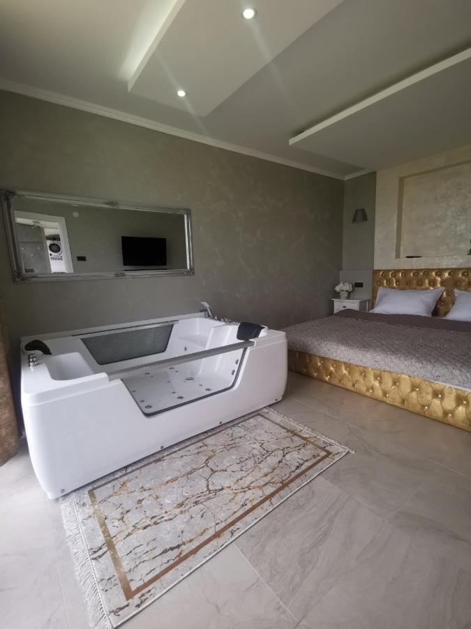 Lux Vila Aleksandar Sremska Kamenica エクステリア 写真