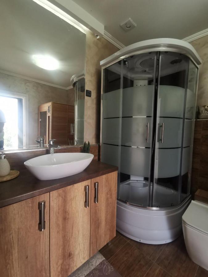 Lux Vila Aleksandar Sremska Kamenica エクステリア 写真